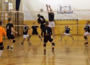 BALS: Pewne zwycięstwa Volley Clubu i SoGorsi. Hogs Euro Sklep z trzecią wygraną
